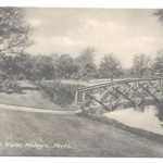 Tewin Water Gardens Postcard